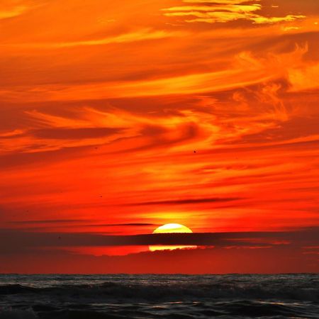 Ferienhaus Geniessen Am Meer Mit Wellnesszugang 에크몬드안지 외부 사진